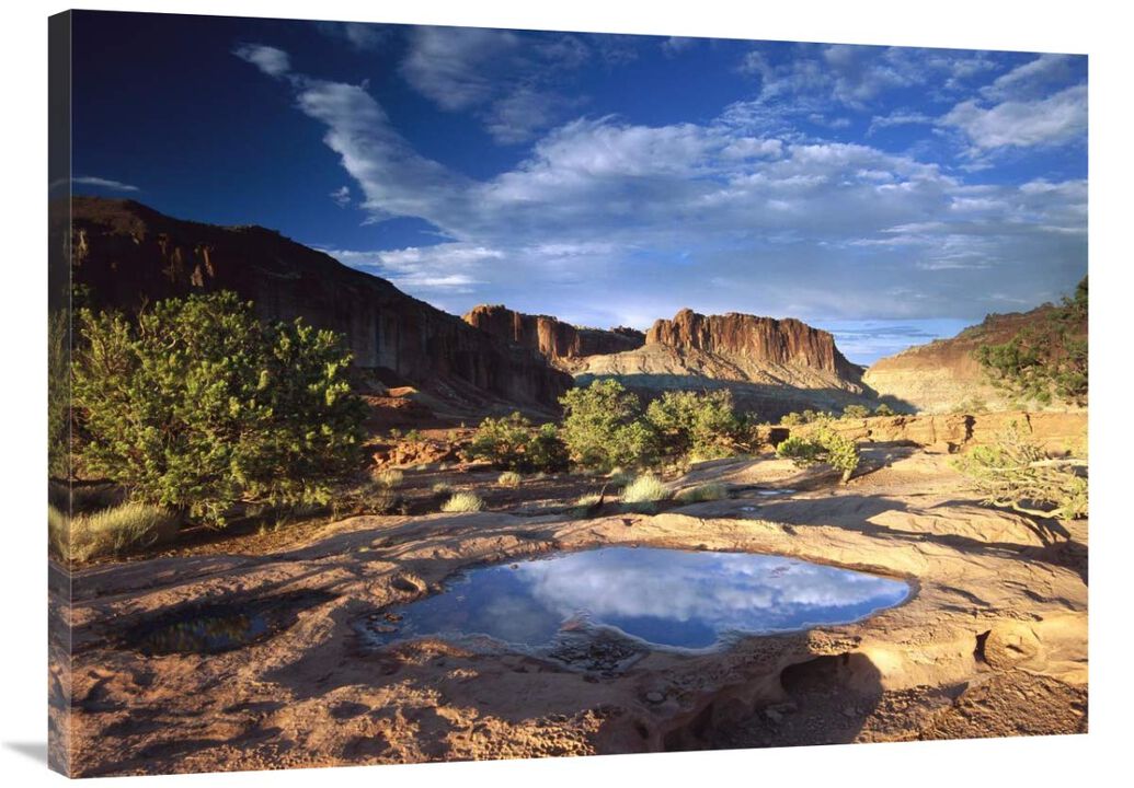 Water pothole at Panorama Point, Capitol Reef National Park, Utah-Canvas Art-40x30