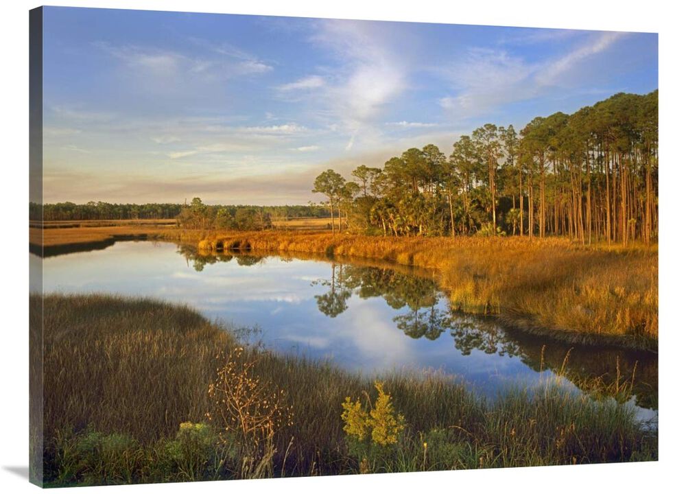 Lake near Apalachicola, Florida-Canvas Art-40x30