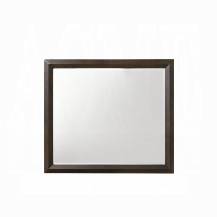 Acme Furniture Merveille Mirror, Espresso