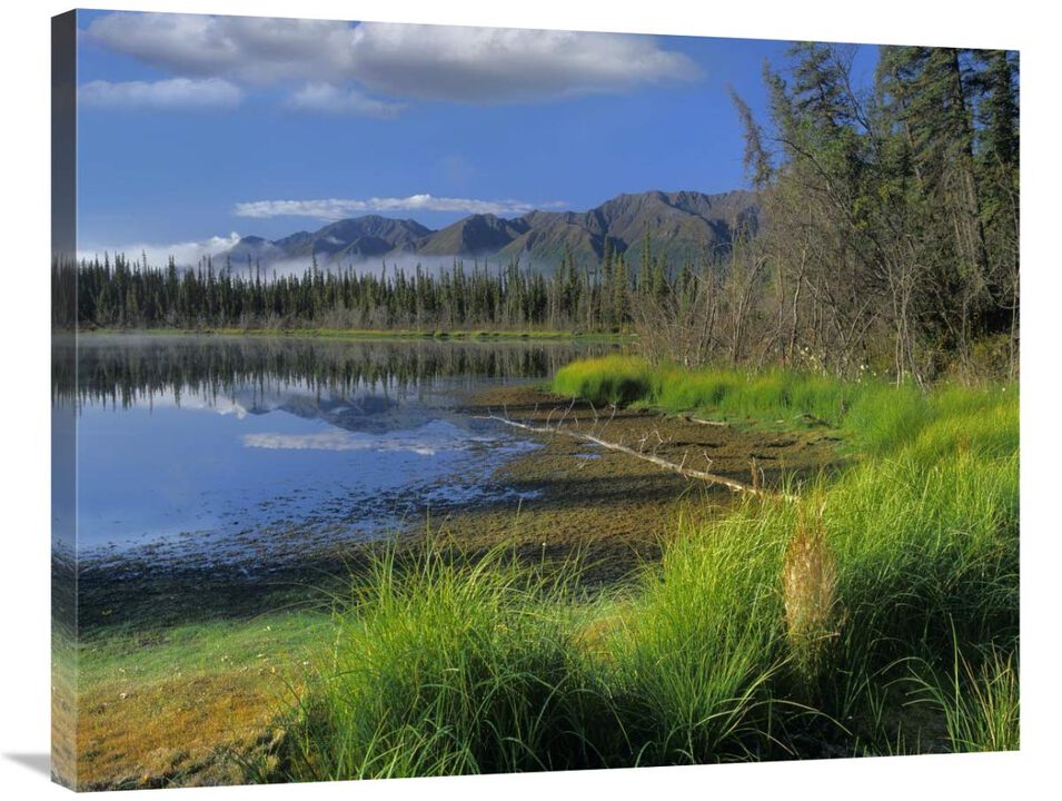 Nutzotin Mountains and boreal forest reflected in receding lake, Alaska-Canvas Art-35x28