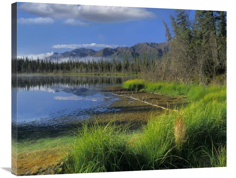 Nutzotin Mountains and boreal forest reflected in receding lake, Alaska-Canvas Art-35x28