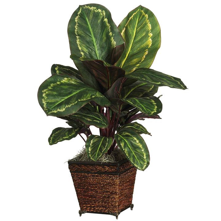 Nearly Natural Maranta w/Wicker Vase Silk Plant