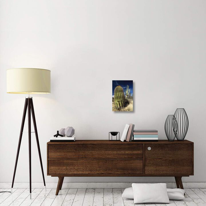 Saguaro with Fishhook Barrel Cactus in the foreground, Sonoran Desert, Arizona-Canvas Art-12x18