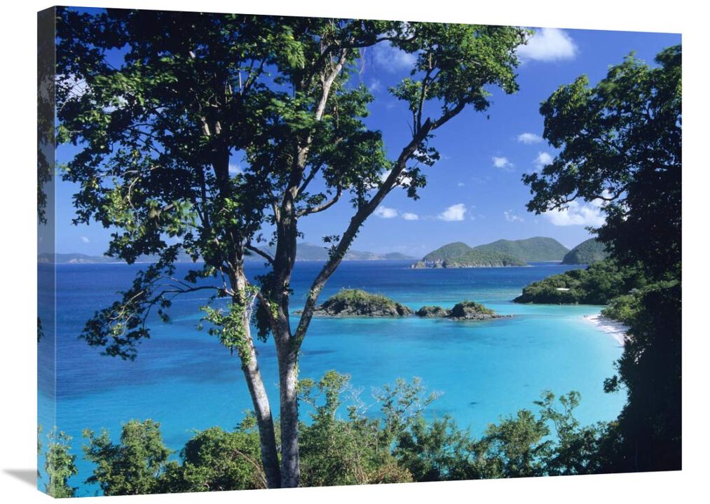 Caribbean seen through trees, Virgin Islands National Park-Canvas Art-32x24