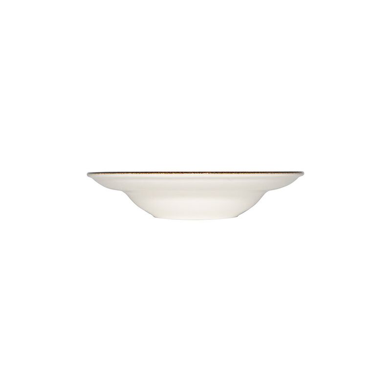 Tierra dia.11.75" h:2.5" 19 oz. Round Brown Porcelain Bowl (Set of 2)