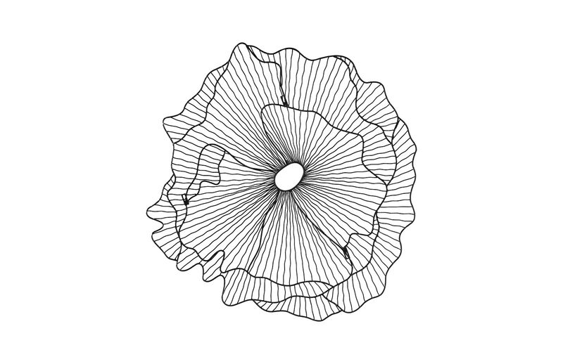 Poppy Flower Wall Art