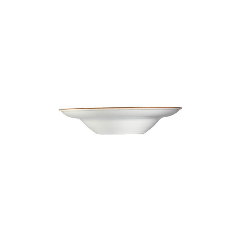 Aqua dia.10.75" h:2.25" 16 oz. Round Blue Porcelain Bowl (Set of 2)