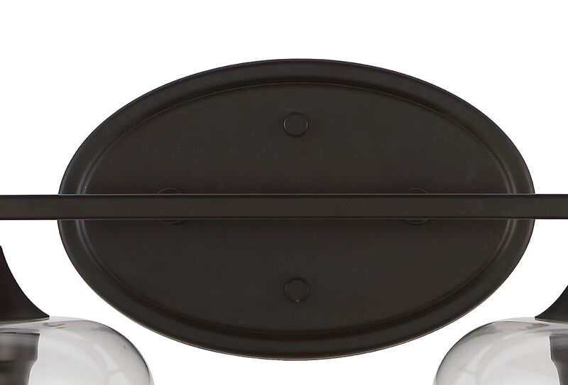 Jayne Iron/Glass Cottage Rustic LED Vanity Light