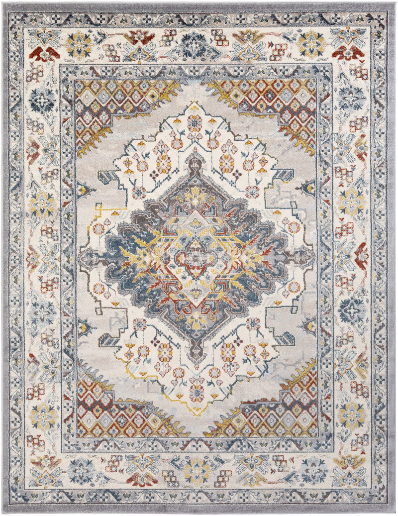 Ankara AKR-2300 8'10' x 12' Gray Rug