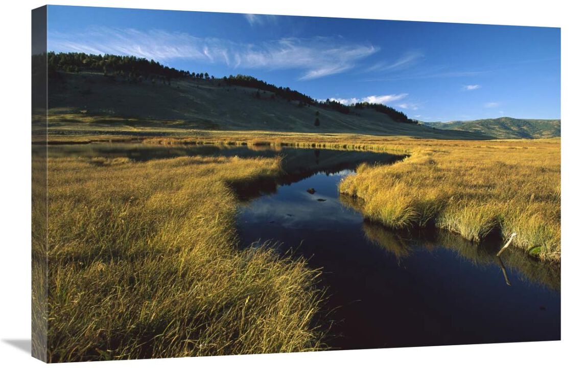 Blacktail Lake, Yellowstone National Park, Wyoming-Canvas Art-30x20