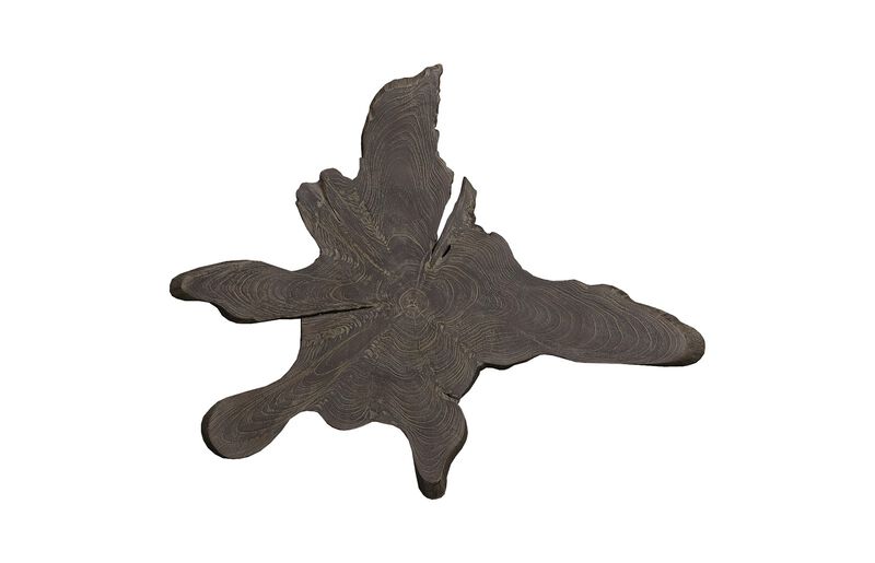 Freeform Teak Wall Slice
