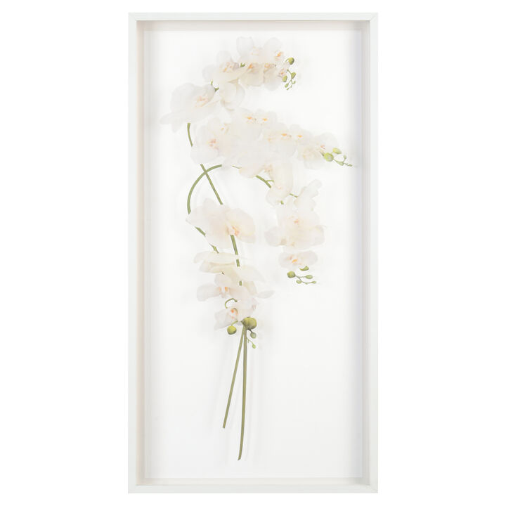 Study Of Orchids I