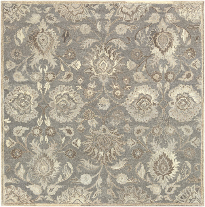 Caesar CAE-1192 9' x 12' Beige Rug