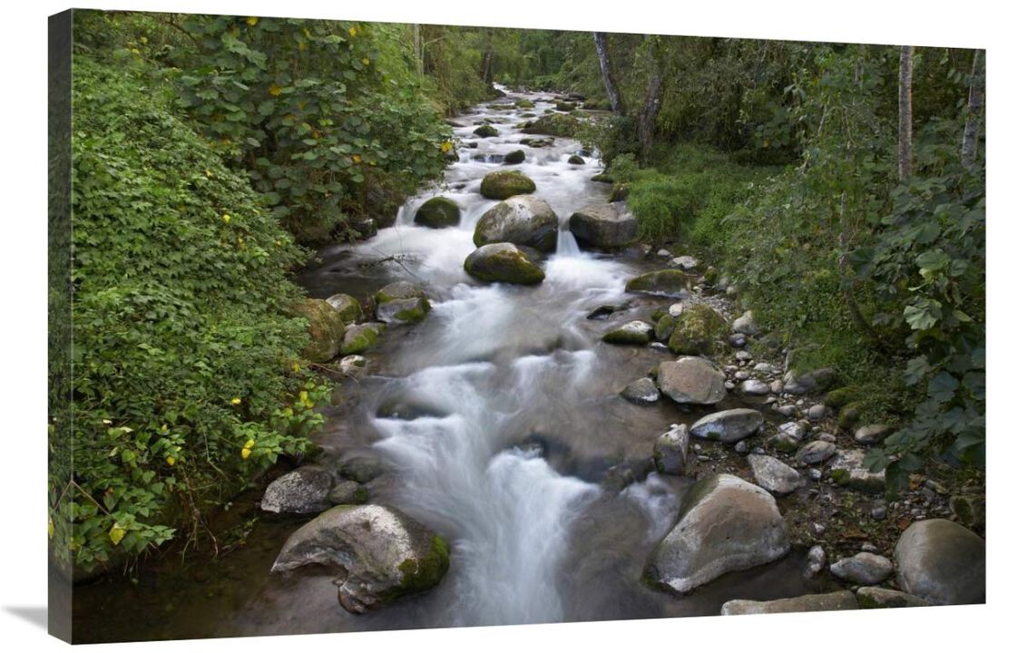 Savegre River flowing through forest, Costa Rica-Canvas Art-36x24
