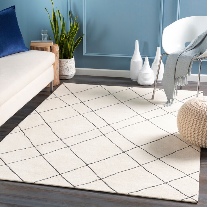 Sinop SNP-2304 2' x 3' Beige Rug