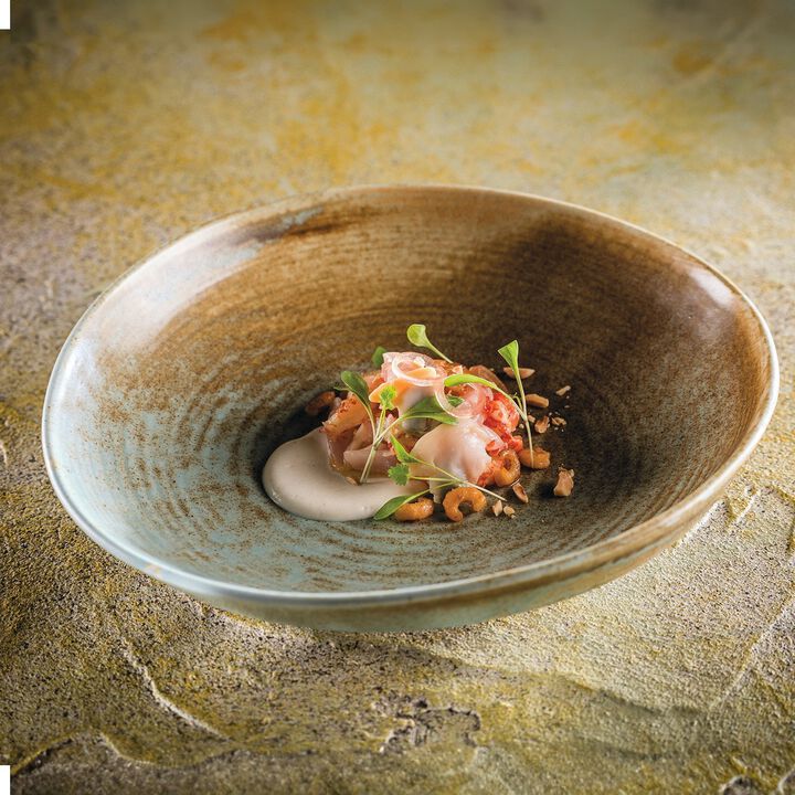 Coral dia.9.75" h:2.25" 36 oz. Round Decorated Porcelain Deep Plate (Set of 2)