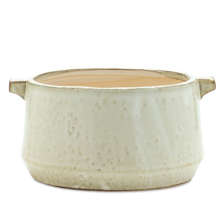 Elegant Bowl Planter for Modern Plant Display and Home Décor