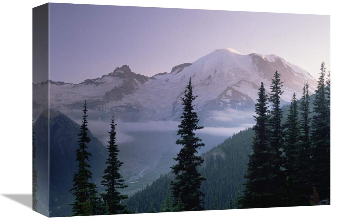 Mt Rainier as seen at sunrise, Mt Rainier National Park, Washington-Canvas Art-16x12