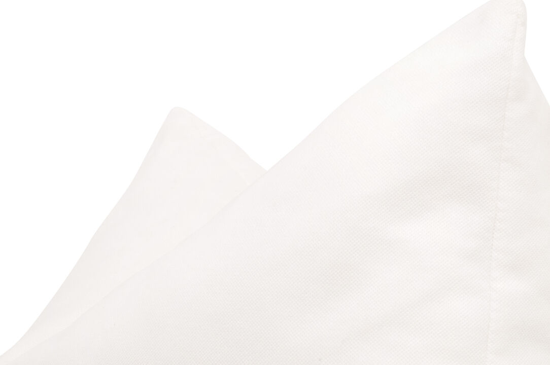 The Basic 22" Essential Pillow (Set of 2)