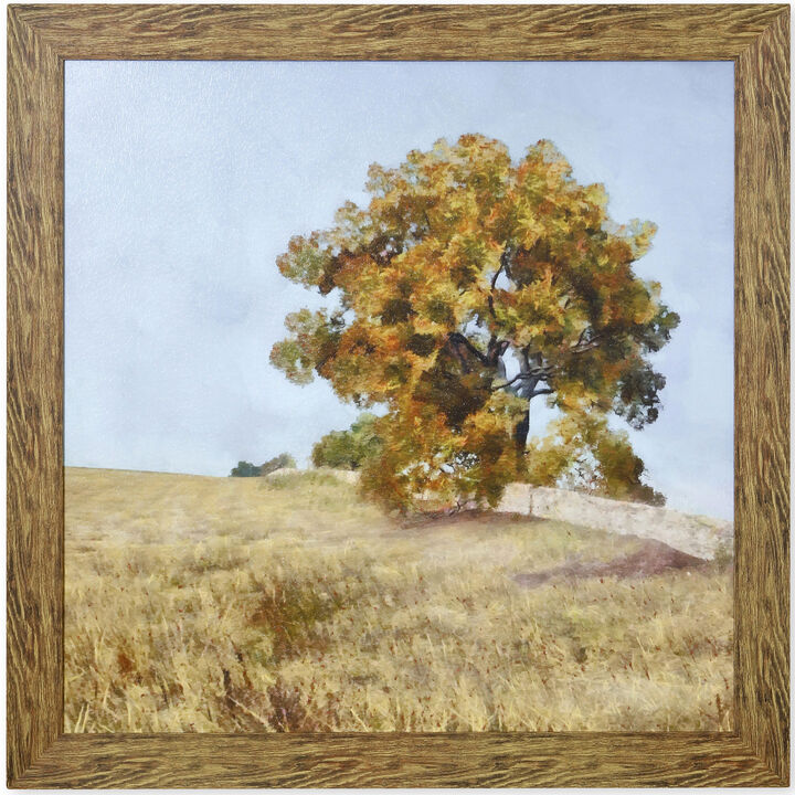 Autumns Tranquility Framed Print