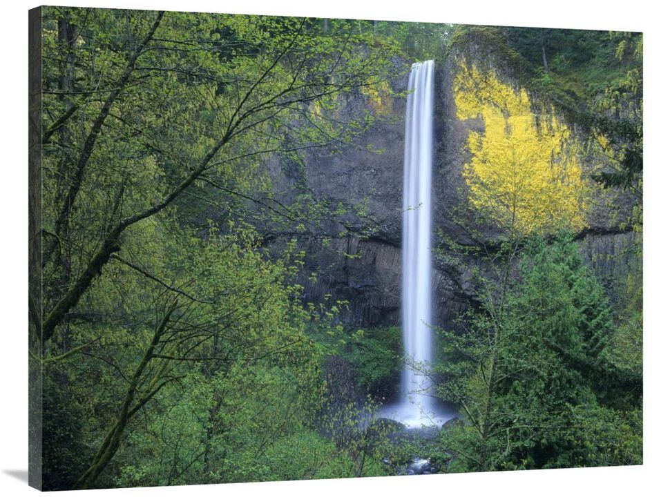 Latourell Falls, Columbia River Gorge near Portland, Oregon-Canvas Art-40x30