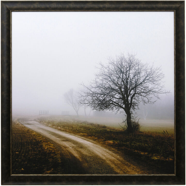 Framed Print Under Glass