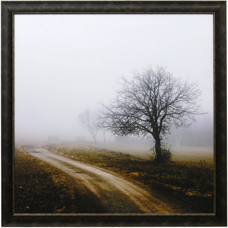 Framed Print Under Glass