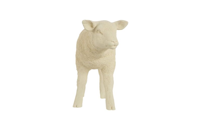 Texelaar Sheep