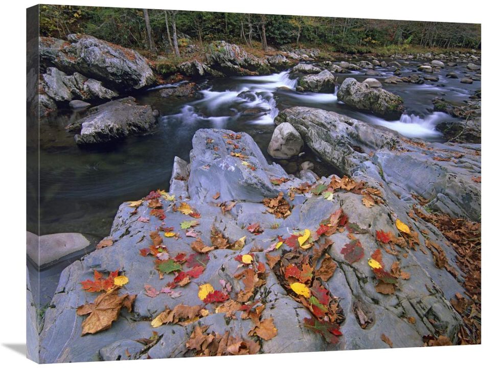 Little Pigeon River, Great Smoky Mountains National Park, Tennessee-Canvas Art-32x24