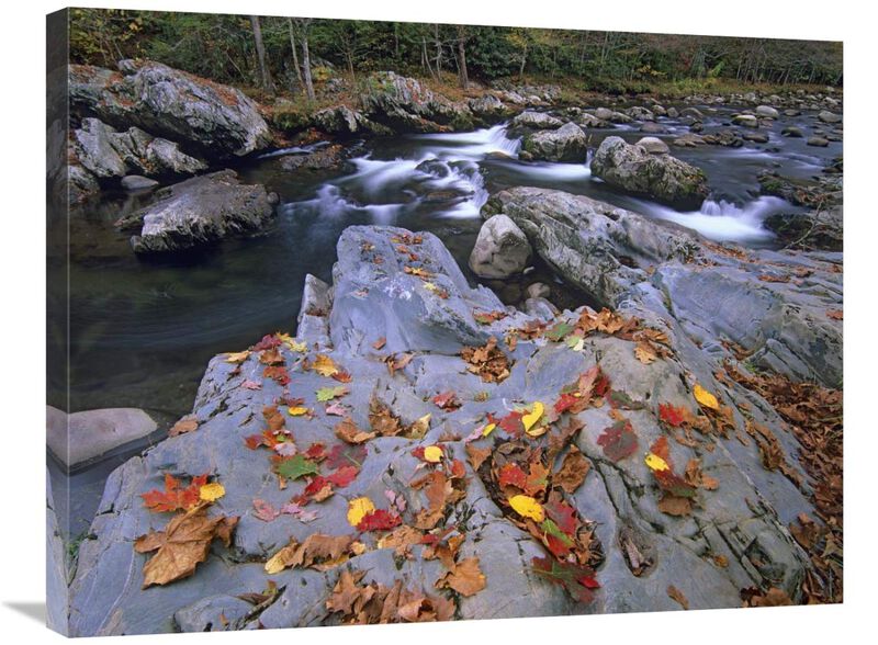 Little Pigeon River, Great Smoky Mountains National Park, Tennessee-Canvas Art-32x24