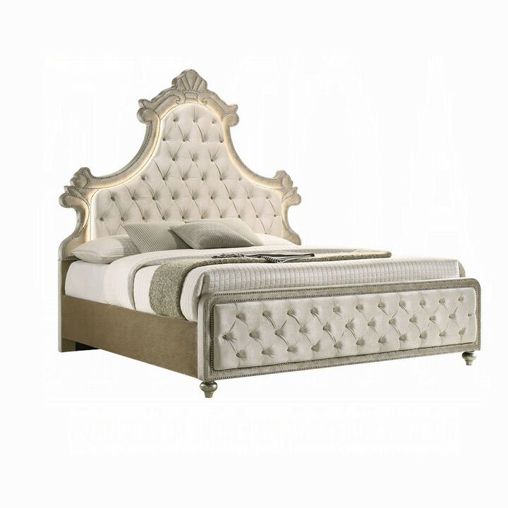 Willa Queen Size Bed, LED Lights, Beige Velvet Upholstery, Brown Wood - Benzara