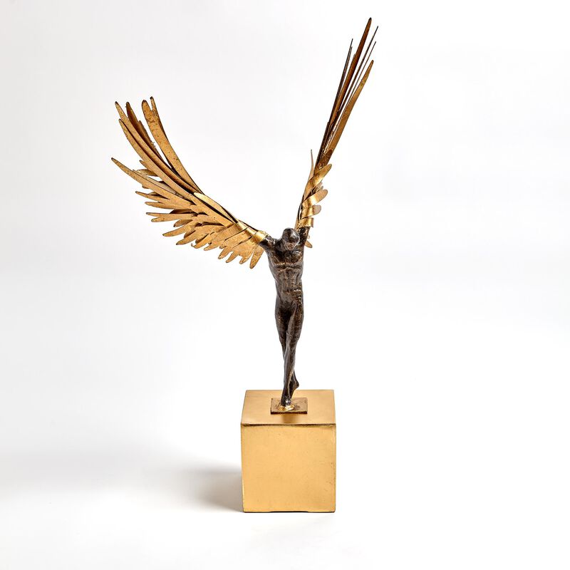 Avian Man