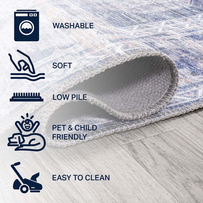 Alanya Ornate Medallion Washable Indoor/Outdoor Area Rug