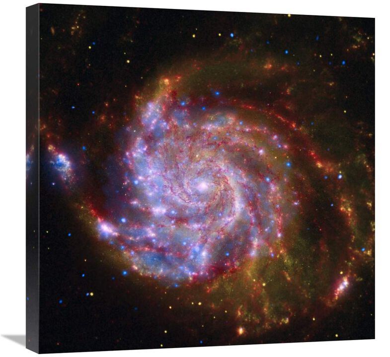 Spitzer-Hubble-Chandra Composite of M101-Canvas Art-24x24