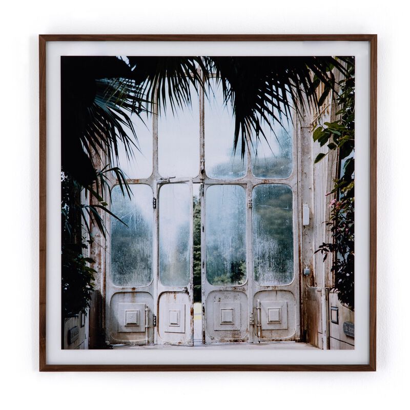 Greenhouse II by Annie Spratt