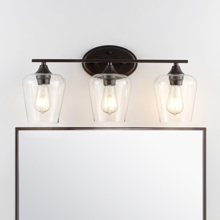 Jayne Iron/Glass Cottage Rustic LED Vanity Light