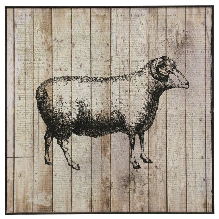 Farm Life II Framed Print