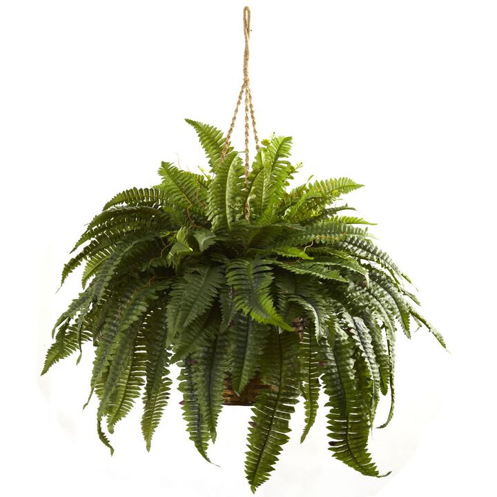 Hivvago Double Giant Boston Fern Hanging Basket