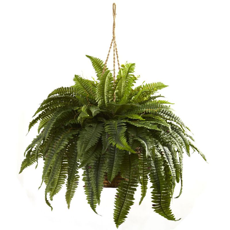 Hivvago Double Giant Boston Fern Hanging Basket