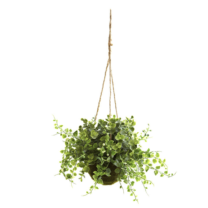 Hivvago Eucalyptus, Maiden Hair & Berry Hanging Basket (Set of 3)