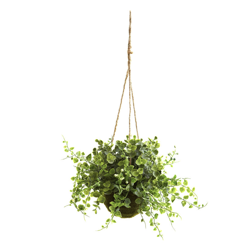 Hivvago Eucalyptus, Maiden Hair & Berry Hanging Basket (Set of 3)