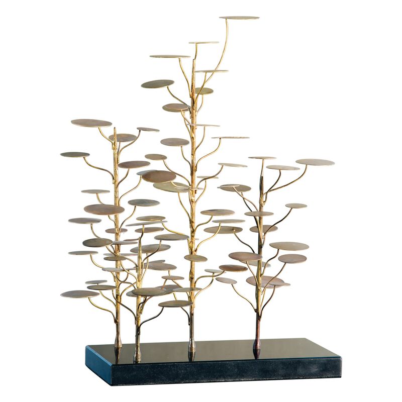 Eucalyptus Tree
