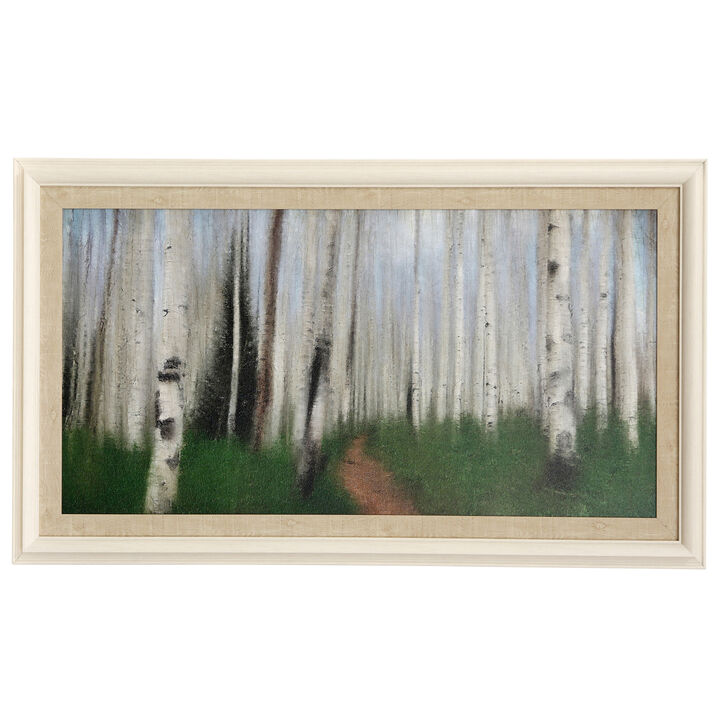 Path Through The Aspens Framed Print
