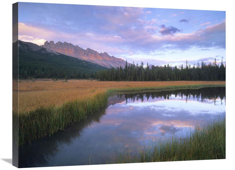 Dolomite Peak and Bow River backwaters, Banff National Park, Alberta-Canvas Art-32x24