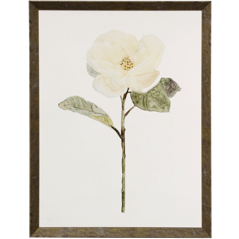 White Blossom II Framed Print