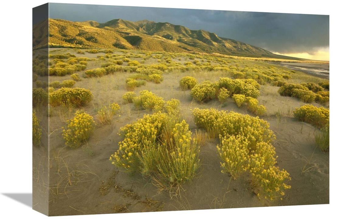 Sangre de Cristo Mountains at Great Sand Dunes National Monument, Colorado-Canvas Art-16x12