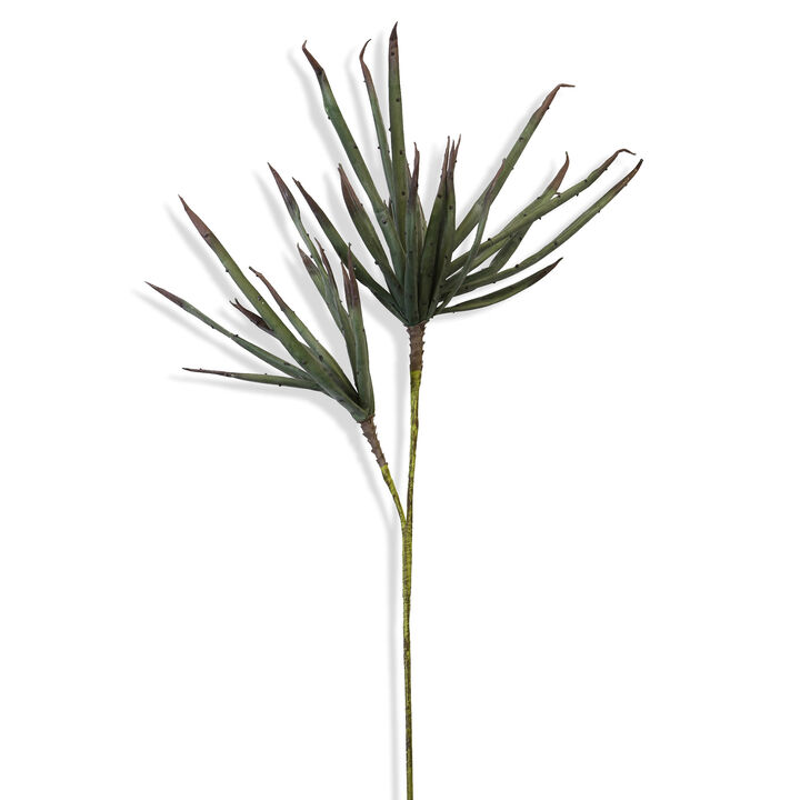 Palm Stem