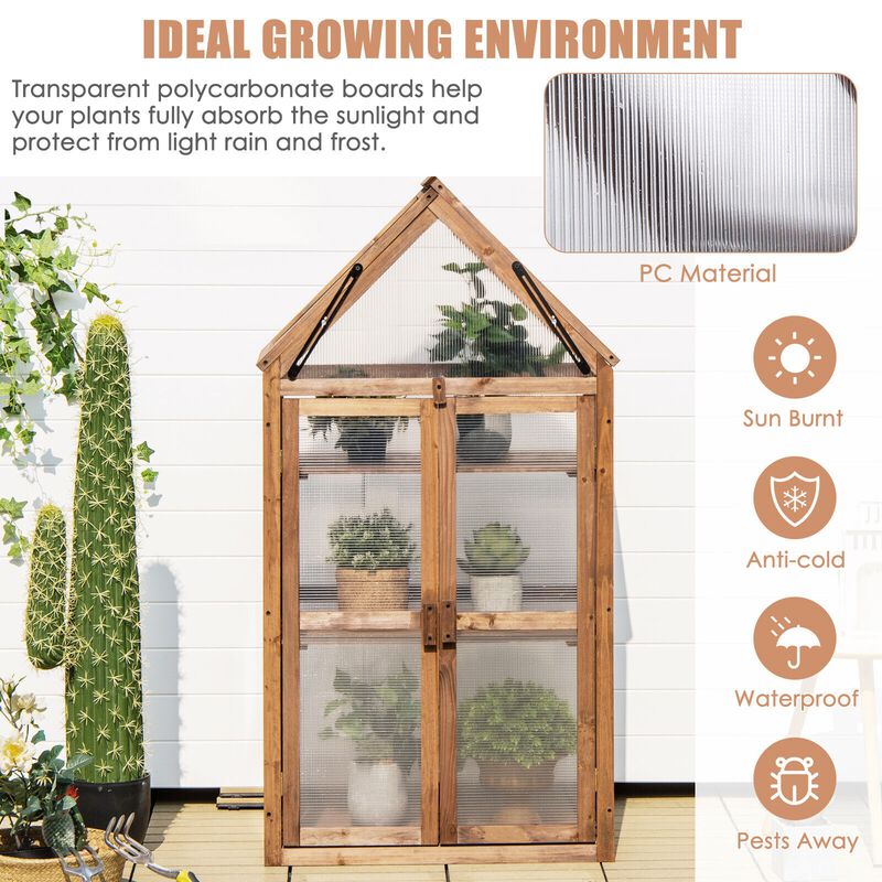 Cold Frame Mini Wooden Greenhouse for Vegetable and Flower