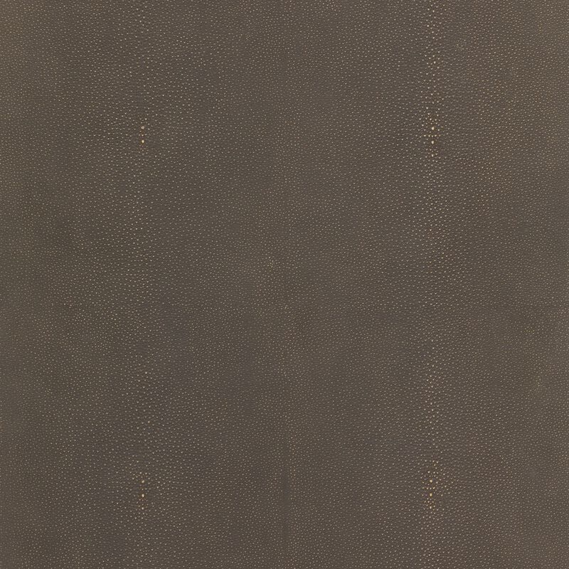 Shagreen Desk