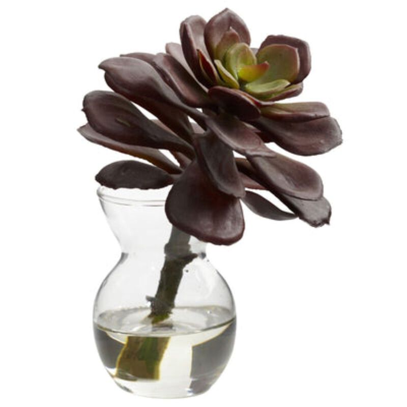 Hivvago Succulent Arrangements (Set of 3)